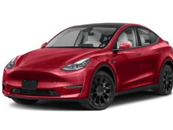 TESLA MODEL Y 2024 7SAYGDEF9RF169597 image